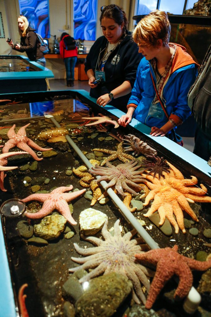 Aquarium | Sitka Sound Science Center - Sitka Sound Science Center