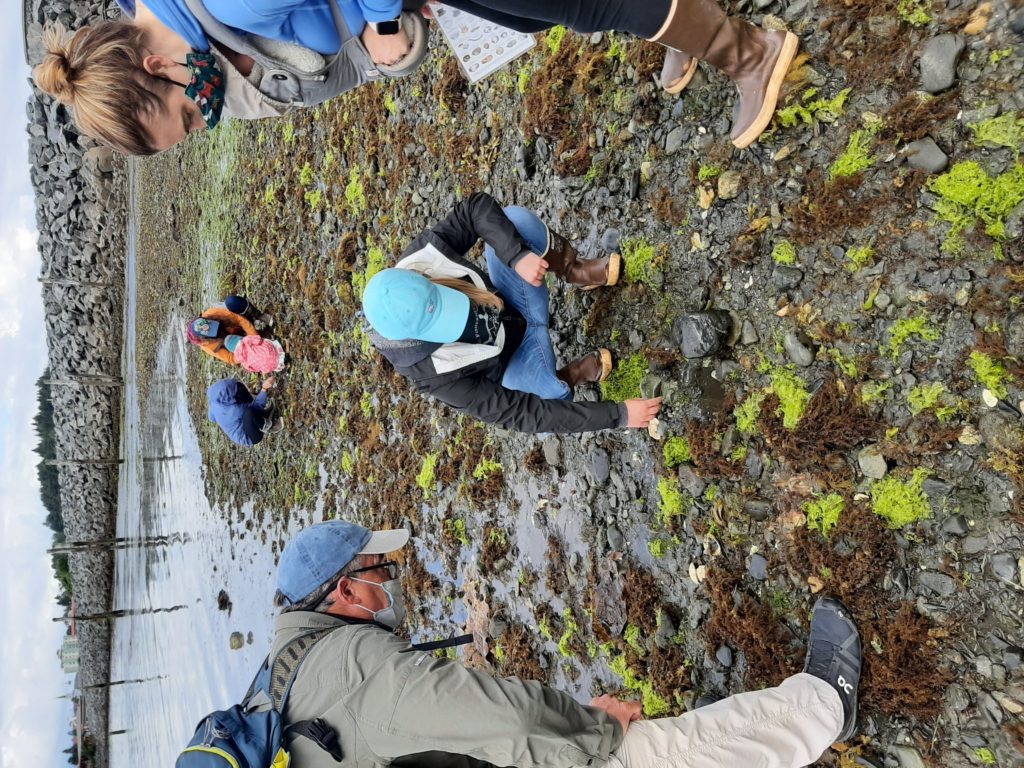 CREATURE feature - Sponges  Sitka Sound Science Center - Sitka Sound  Science Center