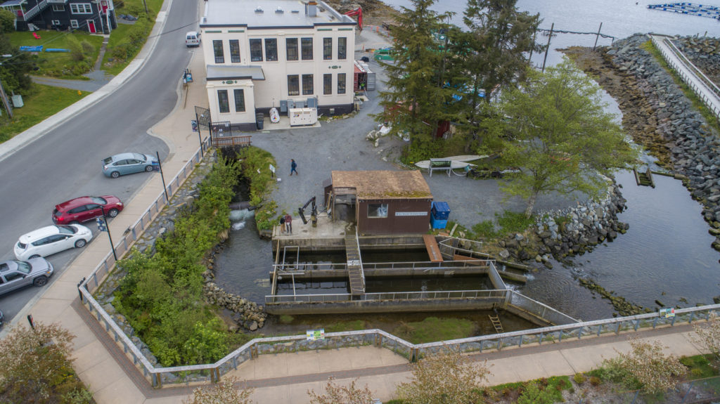 HOT News- A new salmon incubation building is coming to the Science Center.